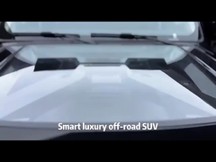 SUV 대벽 탱크 300 자동차 가솔린 차량 2.0t 웨이 탱크 300 SUV