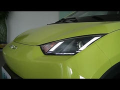 Byd Seagull EV 자동차